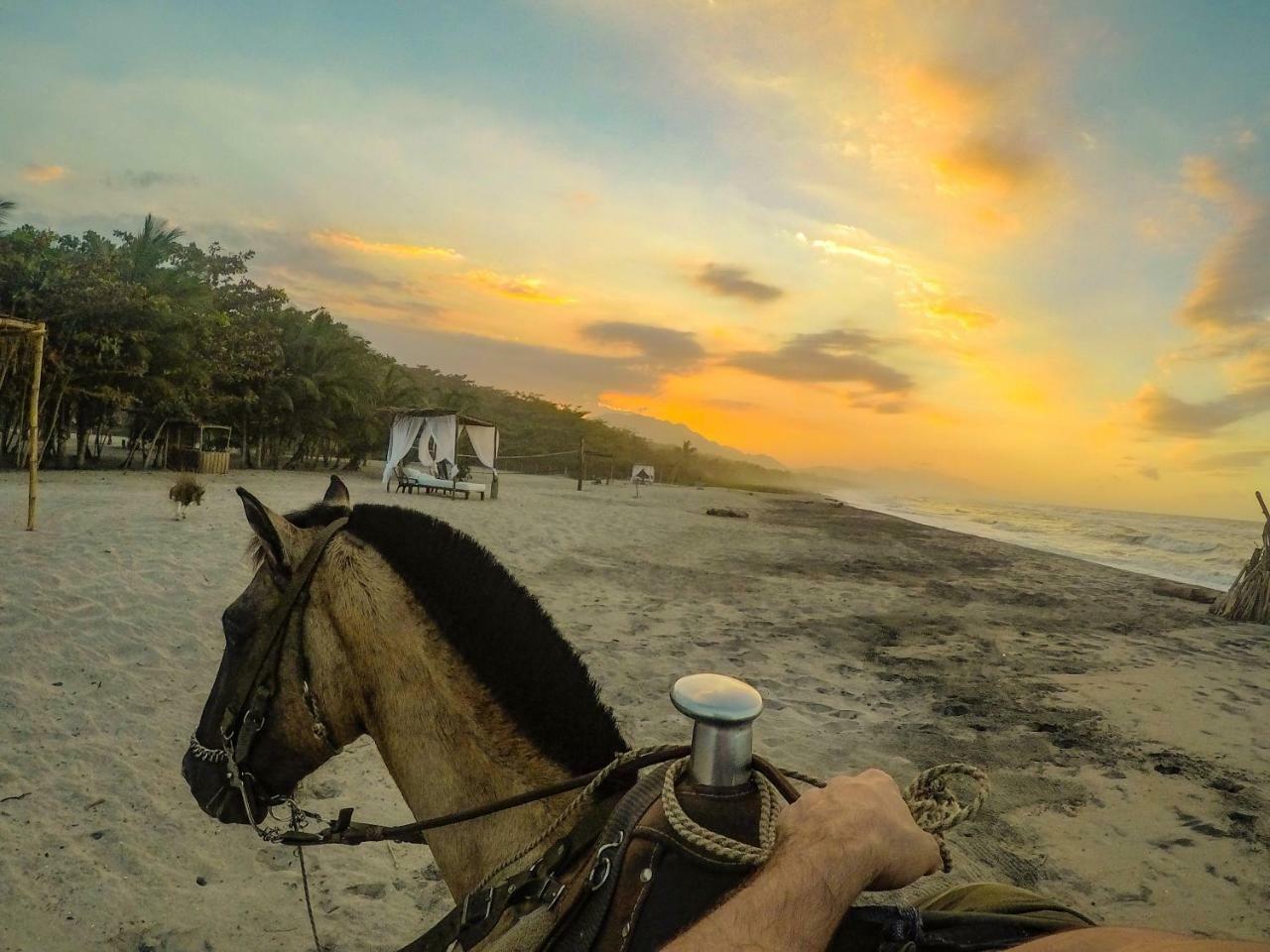 Tay Beach Hotel Tayrona Buritaca Esterno foto